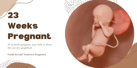 23 tydzień ciąży. Dziecko wielkości grejpfruta rozwija się w łonie matki.