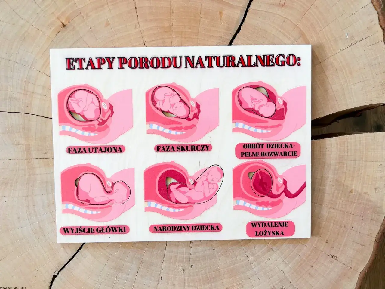 Ilustracja przedstawia etapy porodu naturalnego: od fazy utajonej, przez skurcze, obrót dziecka, wyjście główki, narodziny dziecka, aż po wydalenie łożyska.